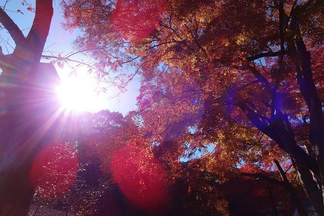 Full Day Hiking Tour at Mt.Takao including Hot Spring - What’s Included and What’s Not?