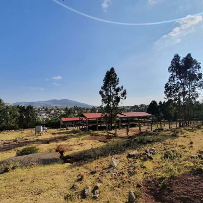 Full Day Hiking Tours to Mountain Furi - What to Expect on the Mount Furi Hike