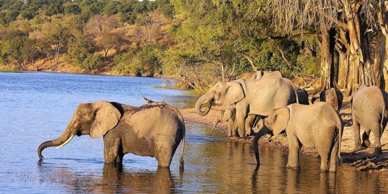 Full Day Hluhluwe Imfolozi Game Reserve Tour from Durban - Who This Tour Is Best For