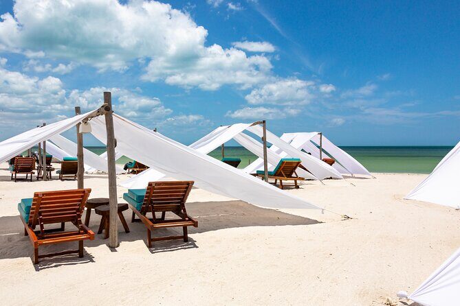 Full-Day Holbox Island Boat and Buggy Tour with Lunch - What to Expect from the Tour: The Good and the Not-So-Good