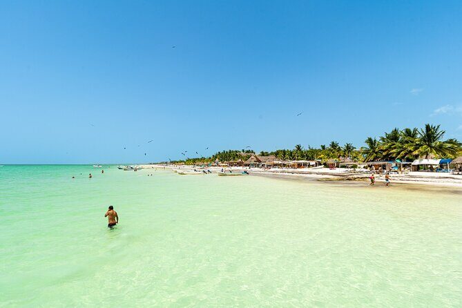 Full Day Holbox Island Tour from Playa del Carmen with Lunch - Discovering Holbox Island: A Slice of Paradise