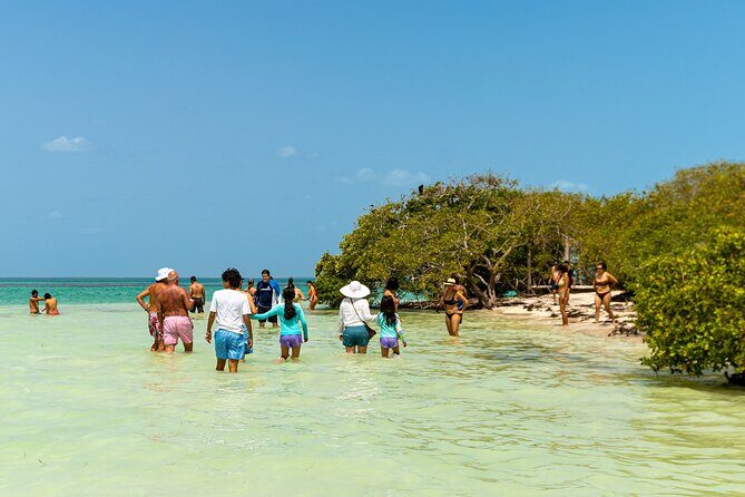 Full Day Holbox Island Tour from Playa del Carmen with Lunch - Who Should Consider This Tour?