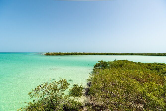 Full Day Holbox Island Tour from Playa del Carmen with Lunch - Final Thoughts: The Worth of a Day in Holbox