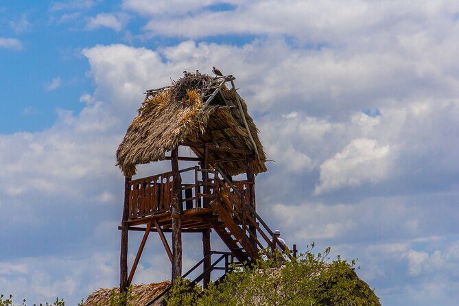 Full Day Holbox Island Tour from Playa del Carmen with Lunch - Frequently Asked Questions