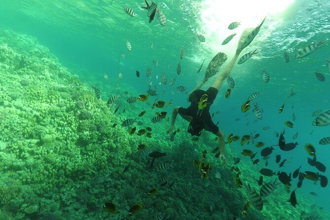 Full Day Hula Hula Island Sea trip, Water Sports, Lunch- Hurghada - FAQ