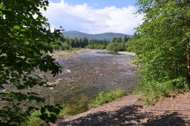 Full Day Ice Museum and Chena Hot Springs Tour - Key Points