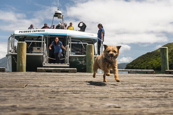 Full Day Iconic Mail Boat Cruise - Setting the Scene: What Is the Full Day Mail Boat Cruise?