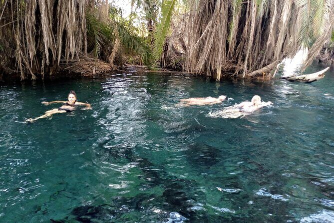 Full Day in Kilimanjaro for Materuni Waterfalls, Culture Tour & Chemka Hotspring - Key Points