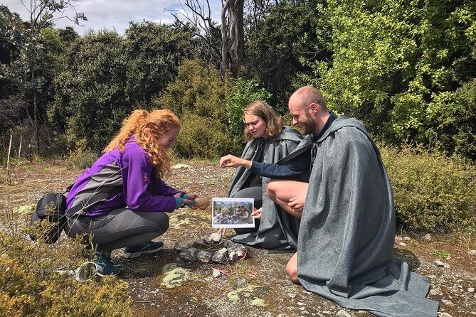 Full Day in Middle Earth - Lord of the Rings Tour - An In-Depth Look at the Experience
