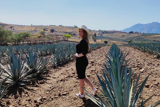 Full Day in Tequila with Tasting and party in Cantaritos - Who This Tour Is Best For