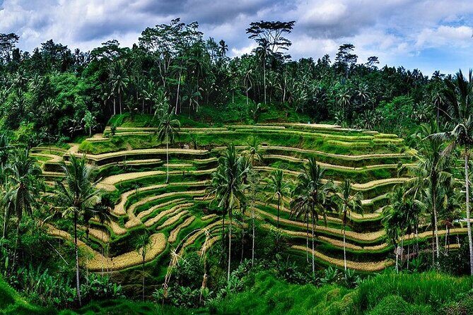Full Day In Ubud With Private Tour - Frequently Asked Questions