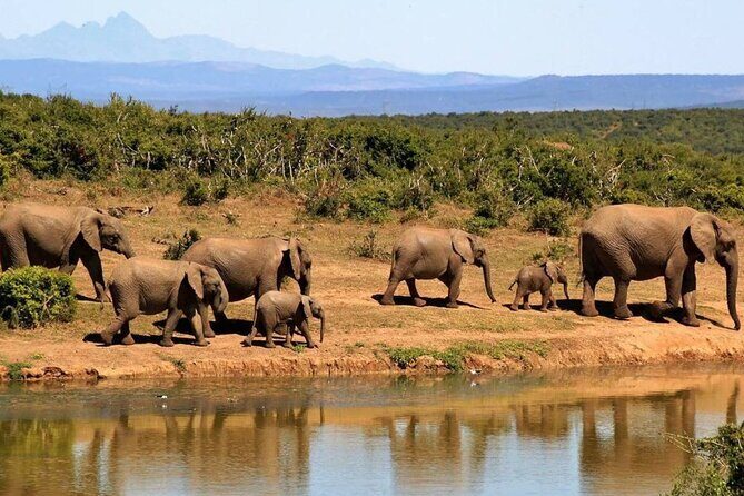 Full Day Isimangaliso Wetlands Park Tour From Durban - An In-Depth Look at the Tour Experience