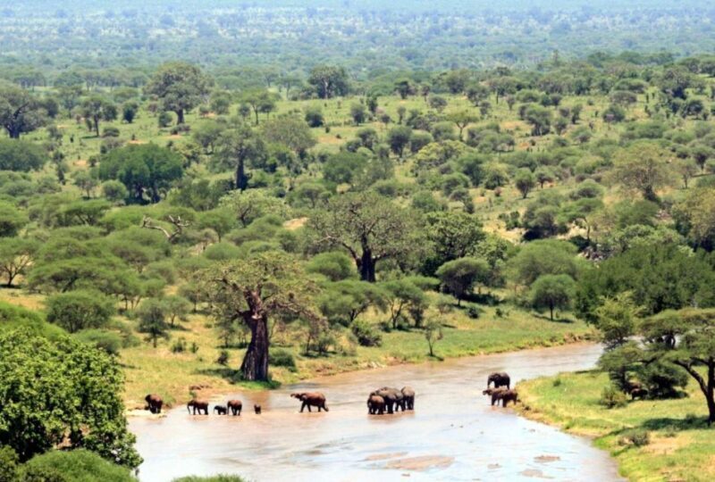 Full Day Isimangaliso Wetlands Park Tour from Durban - FAQ