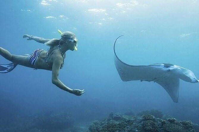 Full-Day Island-Hopping Tour from Bali - FAQs
