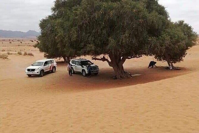 Full Day Jeep Tour to Agadir's Small Desert including Lunch - Final Thoughts: Who Is This Tour For?