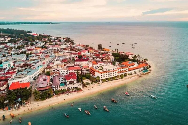 Full Day - Jozani forest, Spice farms, & Stone Town Tour - A Detailed Look at the Day’s Journey