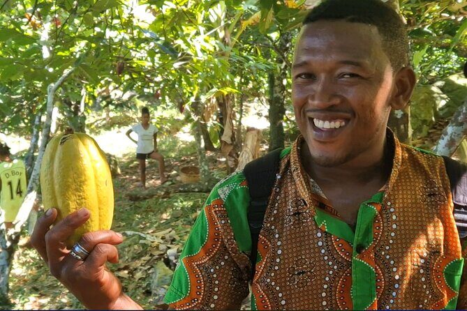 Full-day jungle trek on Nosy Komba (Lemur island) with the Black Lemur Sanctuary - Who Should Consider This Tour?