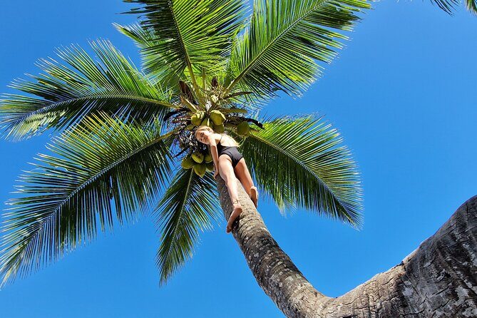 Full-day jungle trek on Nosy Komba (Lemur island) with the Black Lemur Sanctuary - The Sum Up