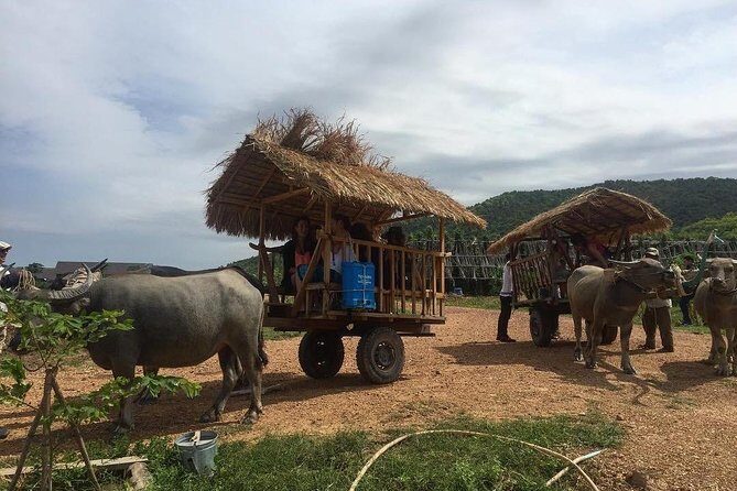 Full-Day Kampot & Kep with a local Tuk Tuk Tours - Exploring Cambodia’s Countryside: Kampot & Kep by Tuk Tuk