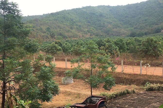 Full-Day Kampot & Kep with a local Tuk Tuk Tours - Final Thoughts