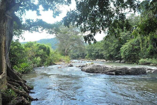 Full day Kandy walking tour with TUK TUK ride to Peradeniya gardens - Stop 4: Royal Botanical Gardens