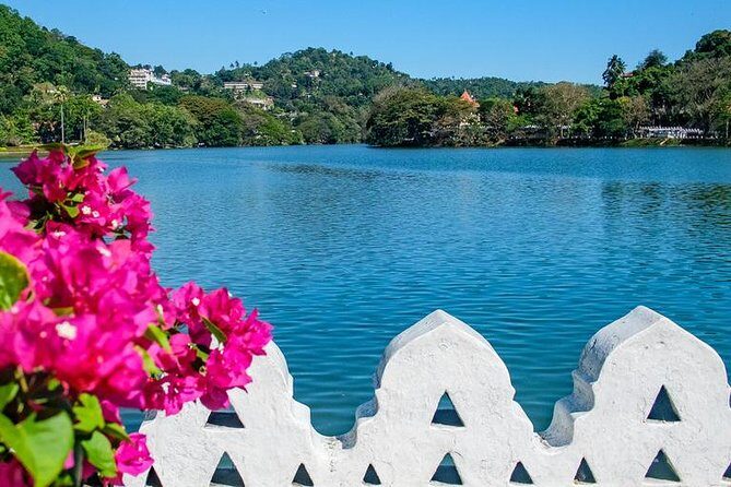 Full day Kandy walking tour with TUK TUK ride to Peradeniya gardens - Price and Value