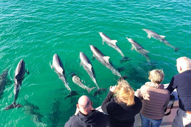 Full-Day Kangaroo Island Experience Departing from Kangaroo Island - The Realities of the Day