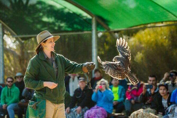 Full Day Kangaroo Island Sip and See Tour departing from Kangaroo Island - Key Points