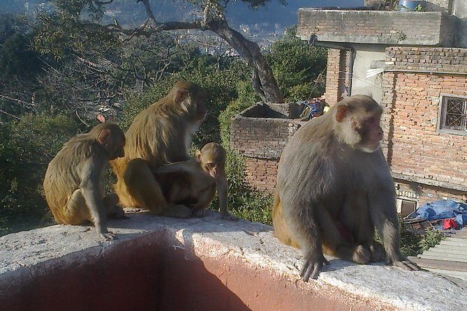 Full Day Kathmandu City Sightseeing Tour of UNESCO Heritage Sites - FAQ
