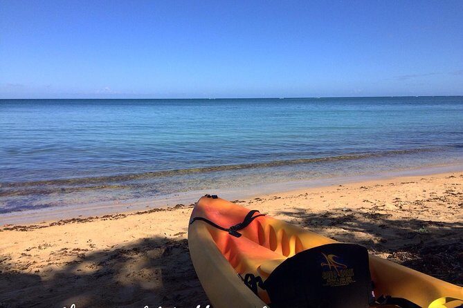 Full-Day Kayak Adventure Explore Fajardos Crystal-Clear Waters - Key Points