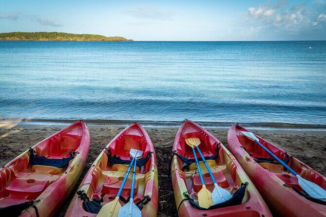 Full-Day Kayak Adventure Explore Fajardos Crystal-Clear Waters - The Experience at Cabezas de San Juan Reserve