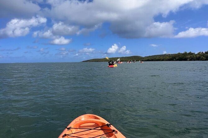 Full-Day Kayak Adventure Explore Fajardos Crystal-Clear Waters - The Value of a Self-Guided Kayak Rental