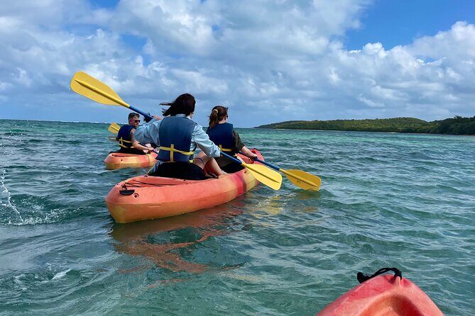Full-Day Kayak Adventure Explore Fajardos Crystal-Clear Waters - Who’s This Tour Best For?