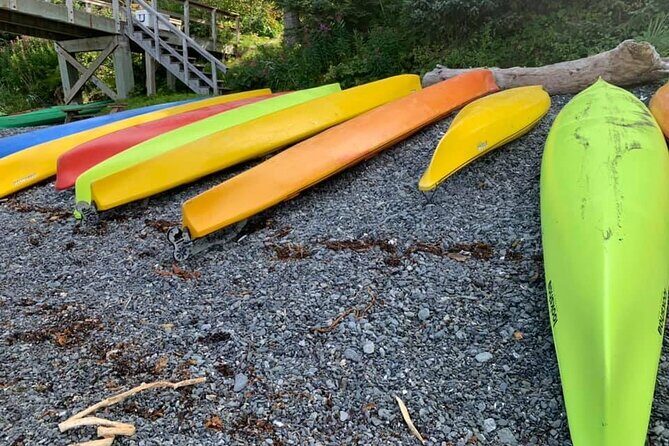 Full-Day Kayak Rental - Full-Day Kayak Rental Review: Discover Anchorage’s Wilderness by Water