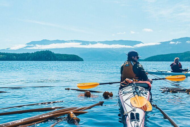 Full Day Kayaking Adventure on Vancouver Island - A Detailed Look at the Tour