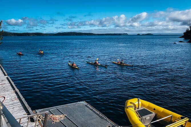 Full Day Kayaking Adventure on Vancouver Island - The Value of the Experience