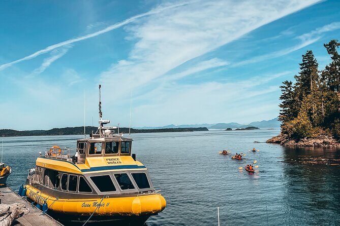 Full Day Kayaking Adventure on Vancouver Island - Logistics and Practical Details