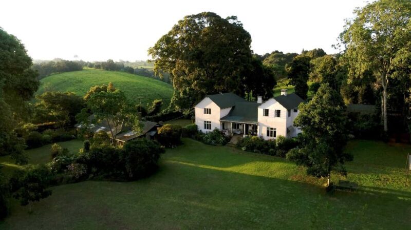 Full Day Kiambethu Tea Farm Tour - Wildlife Encounters and Natural Beauty