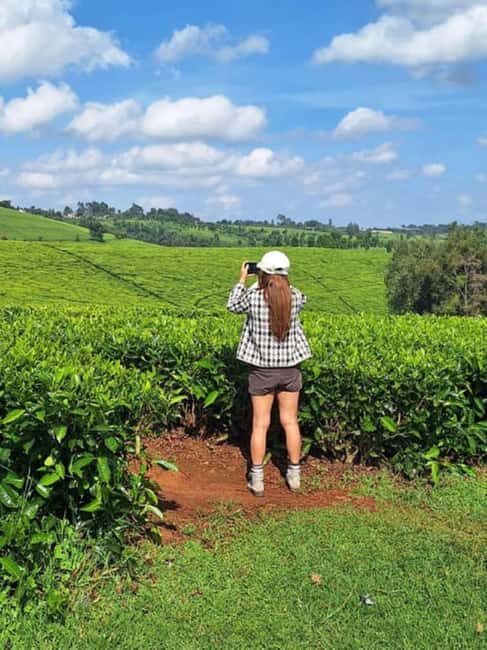 Full Day Kiambethu Tea Farm Tour - A Closer Look at the Itinerary