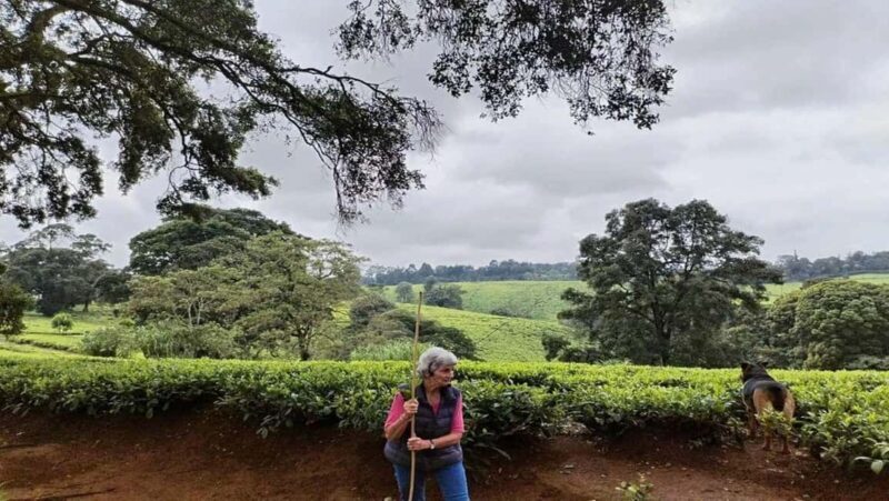 Full Day Kiambethu Tea Farm Tour - Practical Tips for Visitors