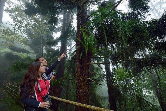 Full-Day Kinabalu Park and Poring Hot Spring Day Trip - Starting the Day: From Kota Kinabalu to Kinabalu Park