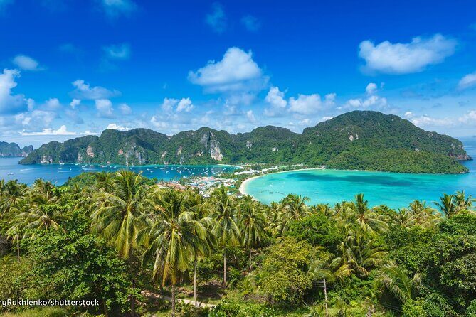 Full-Day Koh Phi Phi Scuba Diving Course from Phuket - The Dive Sites and Marine Diversity