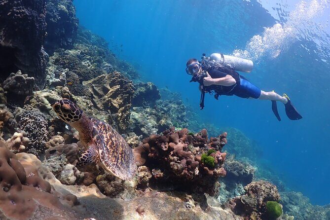 Full-Day Koh Phi Phi Scuba Diving Course from Phuket - Who Will Love This Tour?