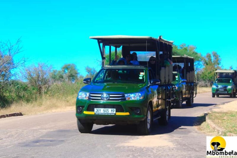 Full Day Kruger National Park Game Drive - A Full-Day Game Drive in Kruger National Park: What to Expect and Why It Matters