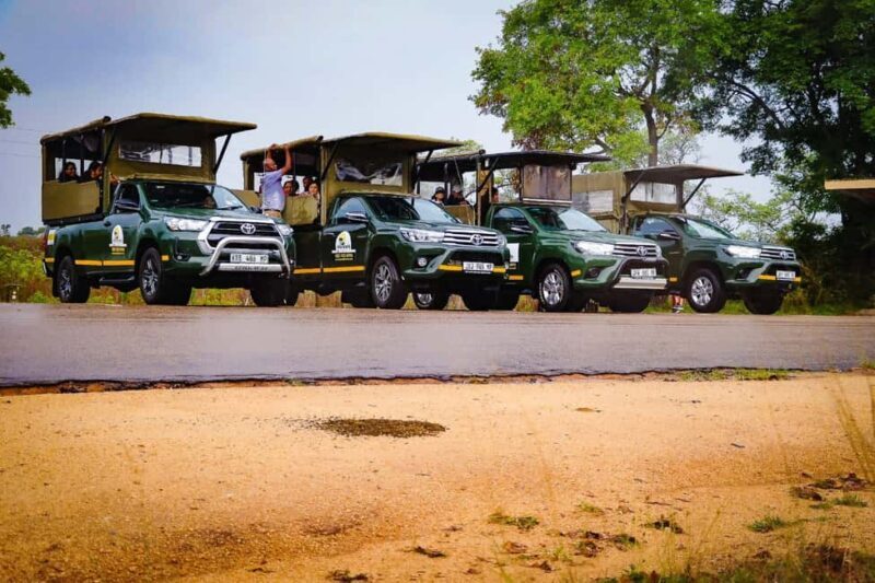 Full Day Kruger National Park Game Drive - Practical Details: What You Need to Know
