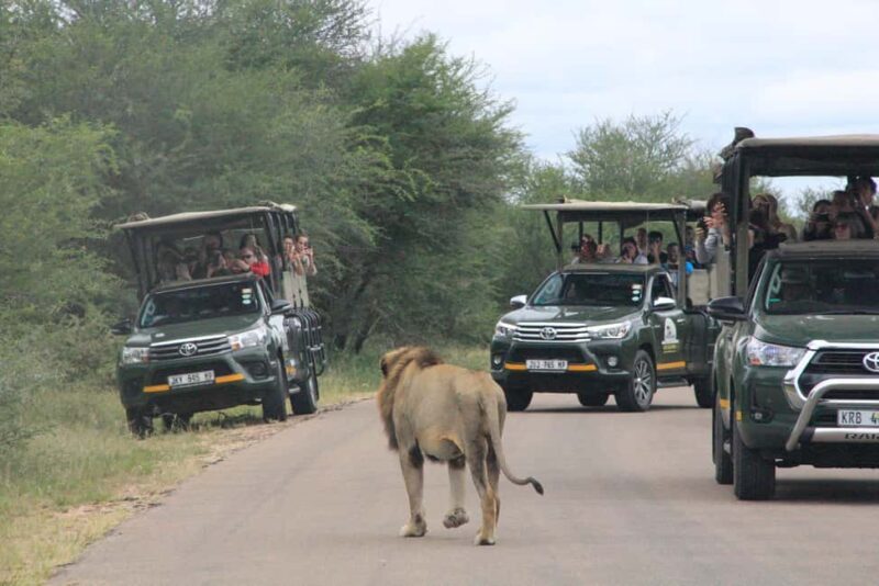 Full Day Kruger National Park Game Drive - Who Should Consider This Tour?