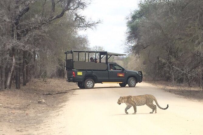 Full Day Kruger National Park Game Drive - The Sum Up: Who Will Love This Safari?