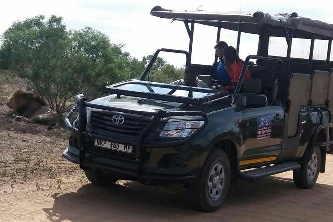 Full-Day Kruger National Park Safari - Value for Money and Booking