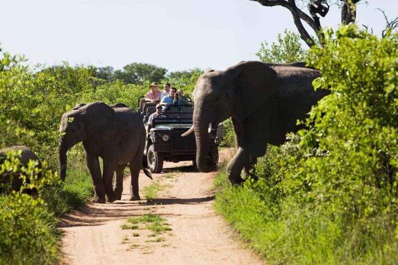 Full-Day Kruger National Park Safari from Maputo - The Journey Begins: From Maputo to Kruger