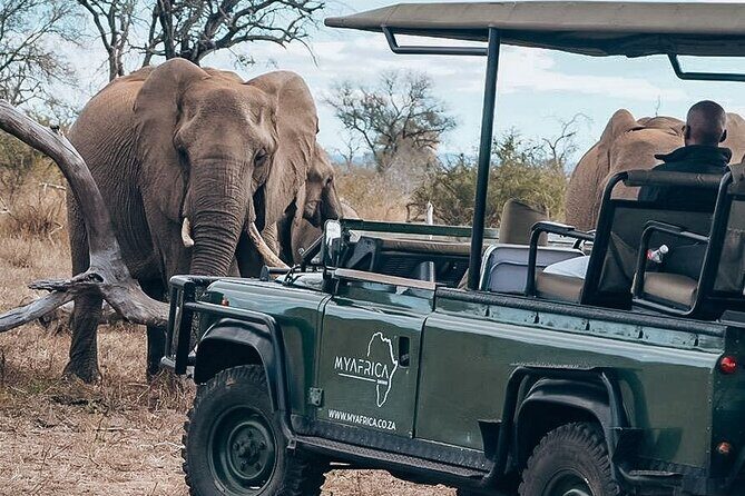 Full Day Kruger National Park Tour - Key Points